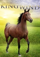 King of the Wind poster image