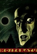 Nosferatu poster image