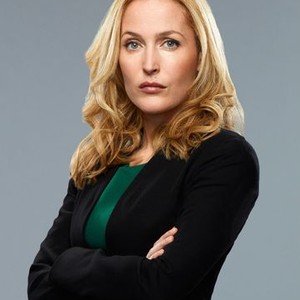 Gillian Anderson as Meg Fitch