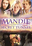 Mandie and the Secret Tunnel poster image