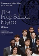 The Prep School Negro poster image