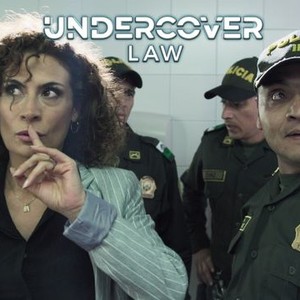 undercover law