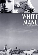 White Mane poster image