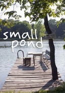 Small Pond poster image