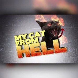 My Cat From Hell Season 5 Rotten Tomatoes