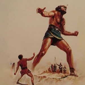 David and Goliath photo 5