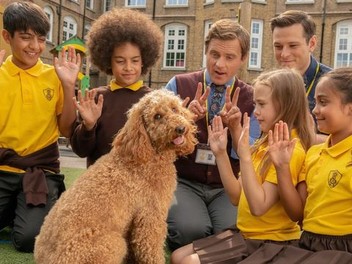 Waffle the Wonder Dog Season 1 Rotten Tomatoes