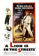 A Lion Is in the Streets poster image