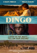 Dingo poster image