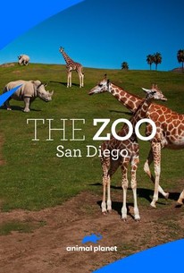 The Zoo: San Diego: Season 1 | Rotten Tomatoes