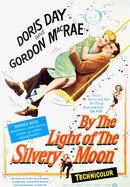 By the Light of the Silvery Moon poster image