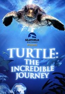Turtle: The Incredible Journey poster image