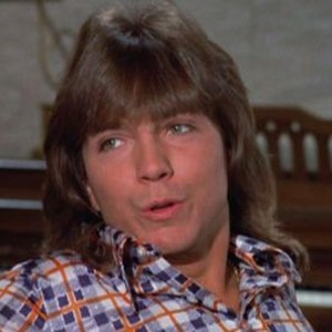 The Partridge Family: Season 4, Episode 6 - Rotten Tomatoes