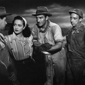 WILD HARVEST, Alan Ladd, Dorothy Lamour, Robert Preston, Allen Jenkins, 1947