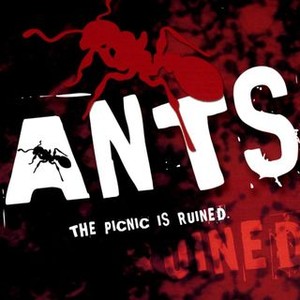 Ants! photo 10