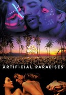 Artificial Paradises poster image