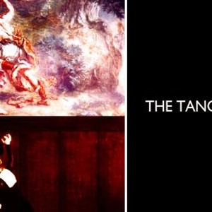 The Tango Lesson photo 4