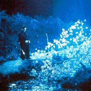 Hijikata (Takeshi Kitano) cuts down a cherry tree. photo 4