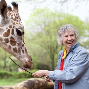 The Woman Who Loves Giraffes - Rotten Tomatoes