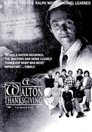 A Walton Thanksgiving Reunion poster image