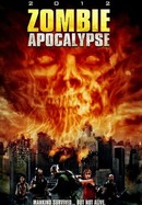 Zombie Apocalypse poster image