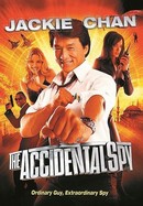 The Accidental Spy poster image
