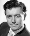 Kenneth Haigh