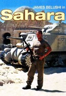 Sahara poster image