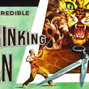 The Incredible Shrinking Man photo 6