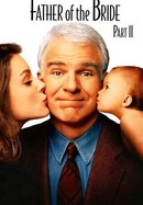 Father of the Bride Part II poster image