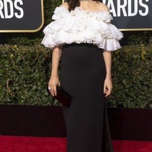 Rachel Weisz attends the 76th Annual Golden Globe Awards, Golden Globes, at Hotel Beverly Hilton in Beverly Hills, Los Angeles, USA, on 06 January 2019.  (115439523)