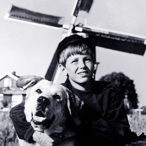 A Dog of Flanders (1959)