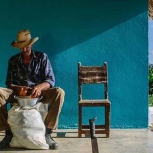 Cuban Food Stories photo 1
