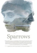 Sparrows poster image