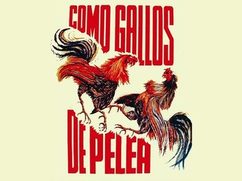Posters De Gallos De Pelea