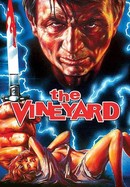 The Vineyard poster image
