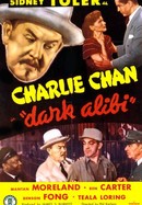 Dark Alibi poster image