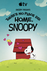 Poster for 
