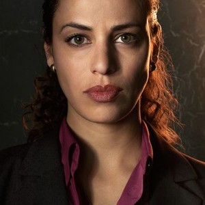 Athena Karkanis as Dani Khalil
