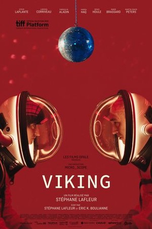 Viking poster