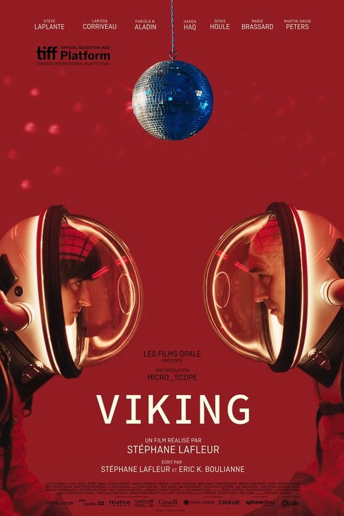 Viking poster
