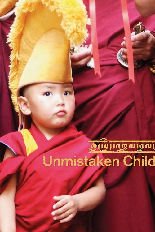 Unmistaken Child poster