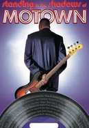 Standing in the Shadows of Motown poster image
