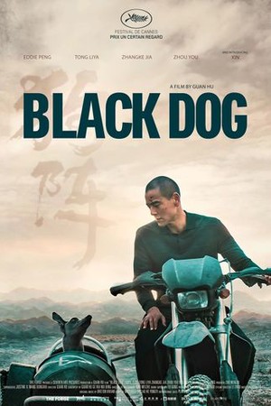 Black Dog poster