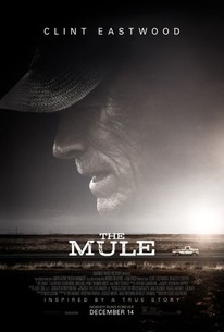 運び屋 / The Mule