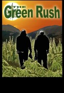 The Green Rush poster image