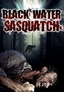 Black Water Sasquatch poster image
