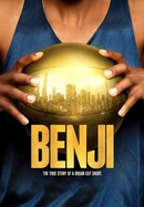 Benji poster image