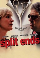Split Ends poster image