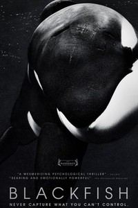 Blackfish